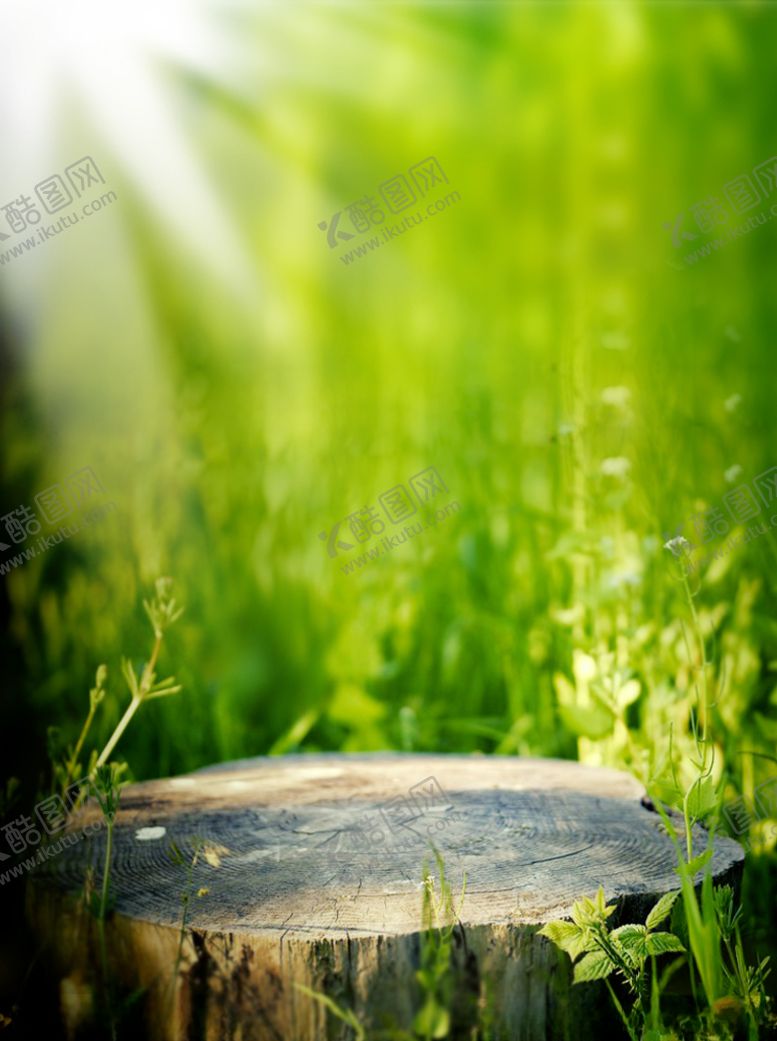 编号：99121309271321333529【酷图网】源文件下载-绿色背景