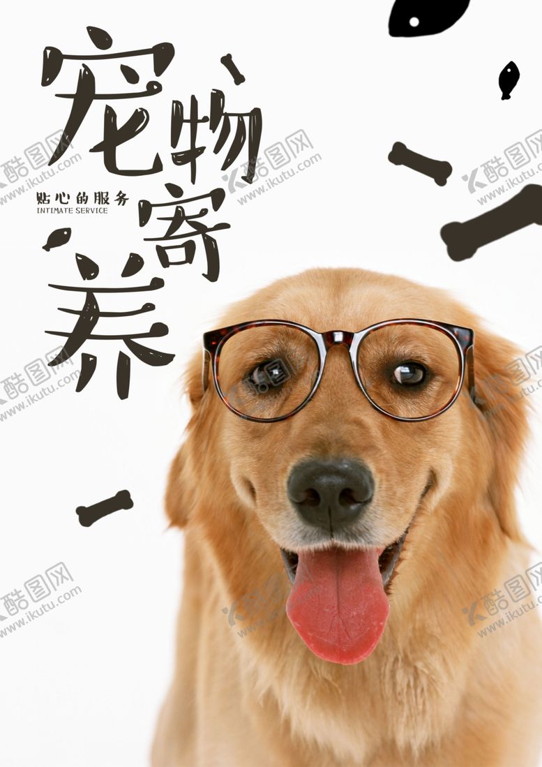 编号：41910005161311245173【酷图网】源文件下载-宠物