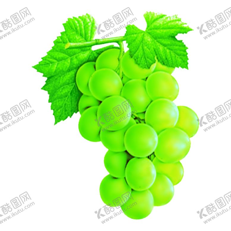 编号：92829406250529398518【酷图网】源文件下载-葡萄