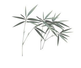 水墨竹子底纹元素富贵富贵盆栽