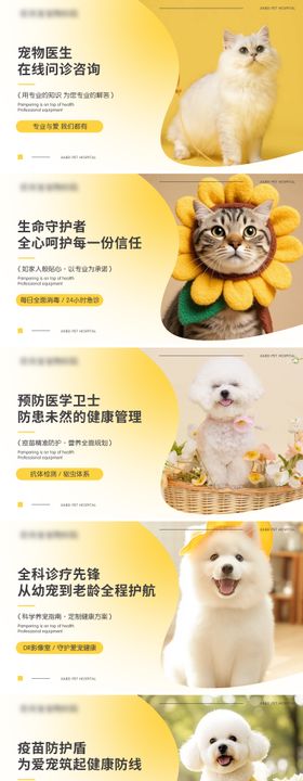 宠物医生活动banner