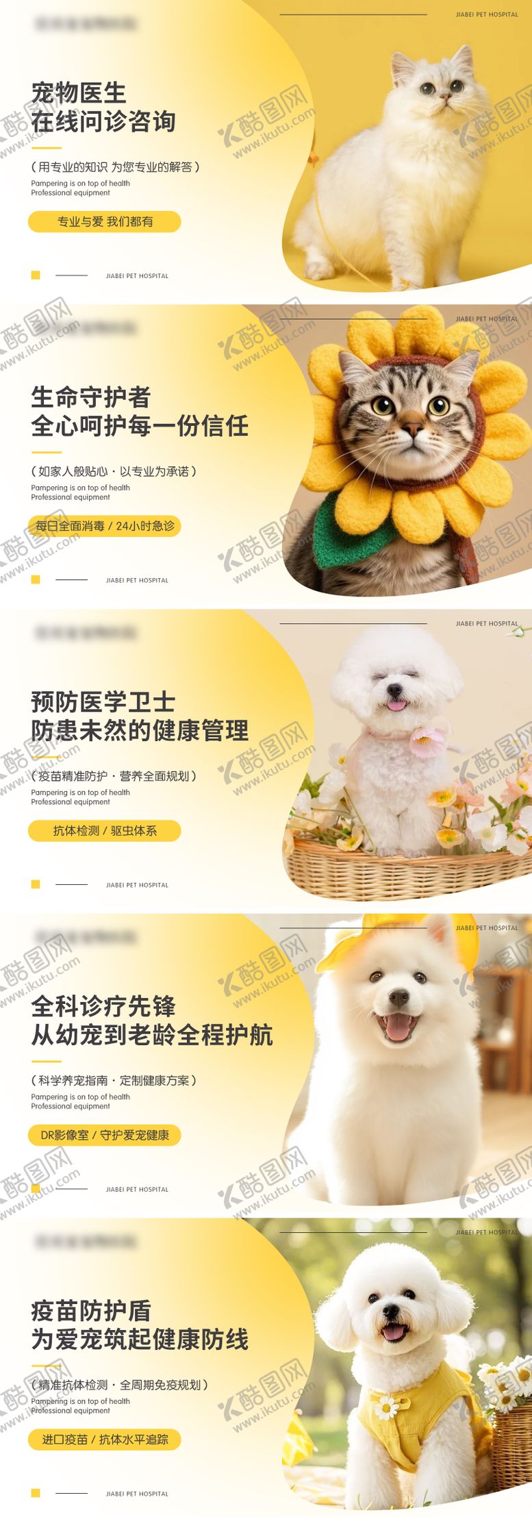 编号：56224505011508517769【酷图网】源文件下载-宠物医生活动banner