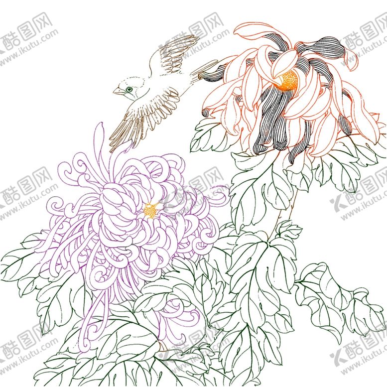 编号：65812309181804549835【酷图网】源文件下载-高清透明工笔画线稿之菊花小品