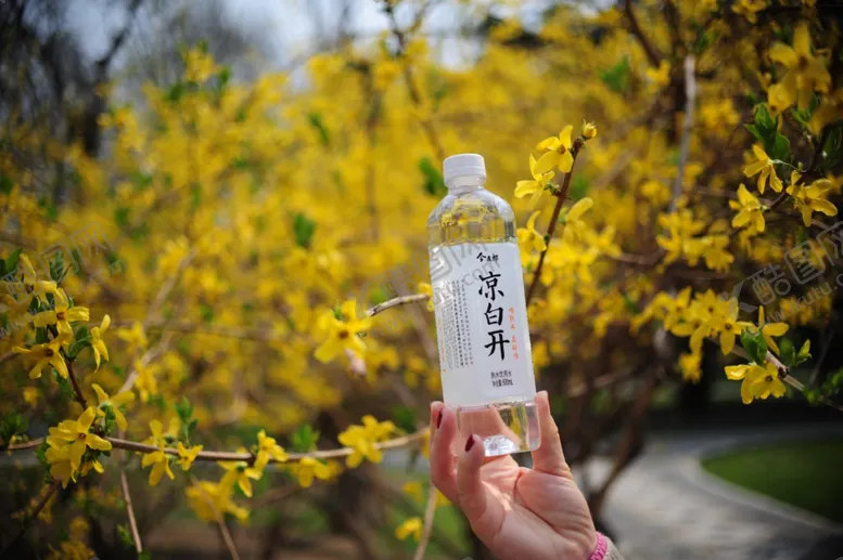 编号：82290506280816033865【酷图网】源文件下载-今麦郎凉白开，春季补水好选择