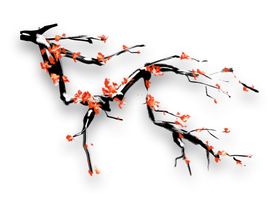手绘梅花高清免抠素材