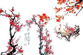 梅花素材