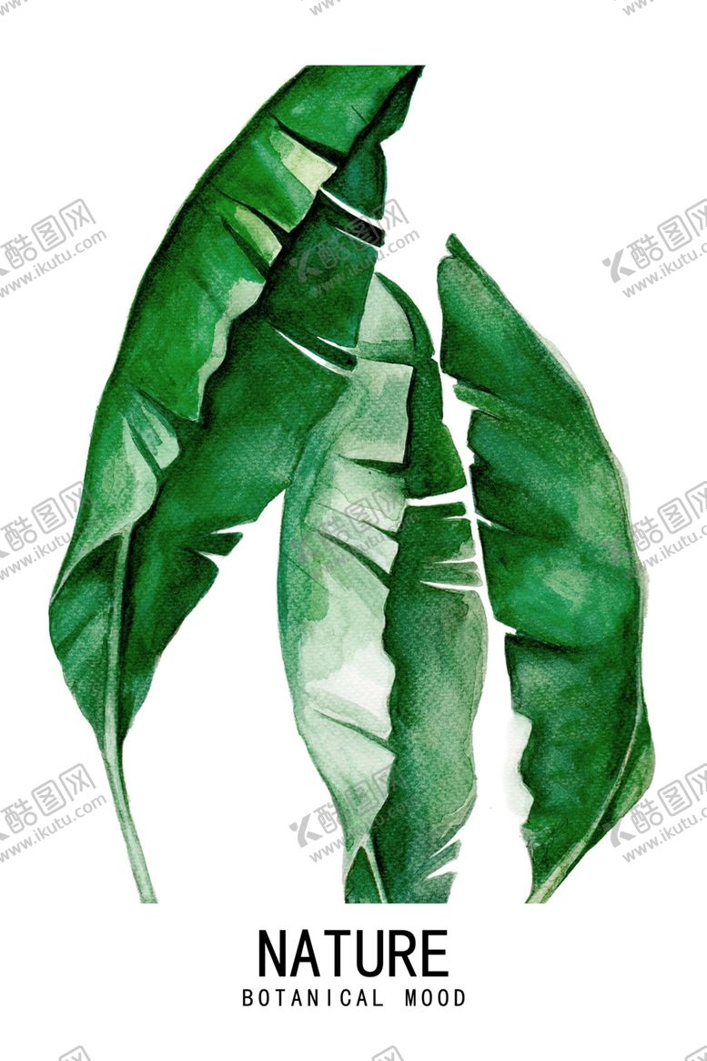 编号：25464105111820238275【酷图网】源文件下载-植物装饰画图片