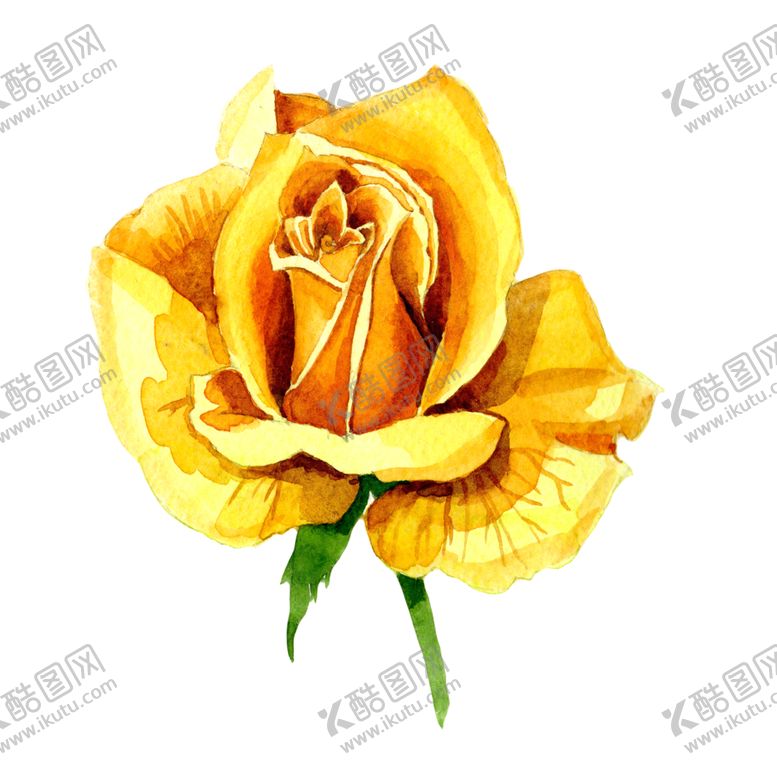 编号：92818802031119211402【酷图网】源文件下载-手绘花卉