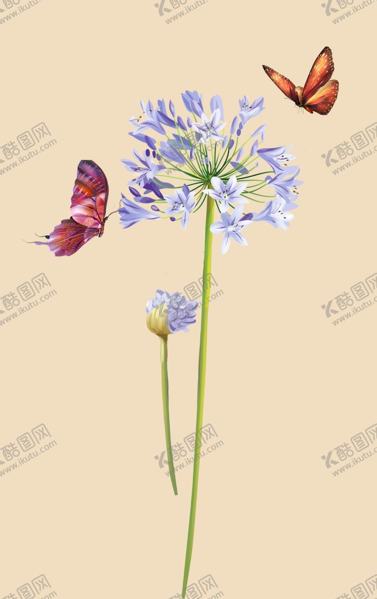 编号：72799110142352493045【酷图网】源文件下载-蒲公英