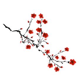 中国风水墨梅