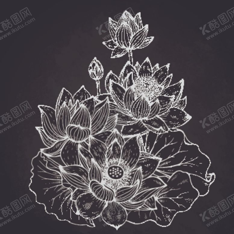 编号：48262304260349051399【酷图网】源文件下载-荷花