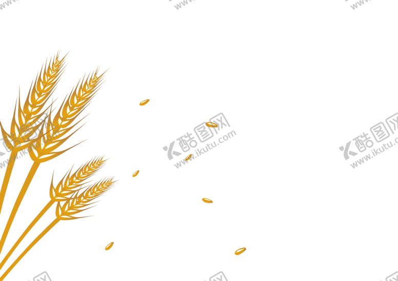 编号：83420005190555346634【酷图网】源文件下载-稻穗稻谷秋季装饰背景素材