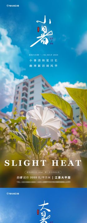 地产大暑小暑花朵写实海报