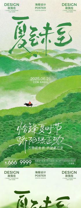 夏至插画节气海报