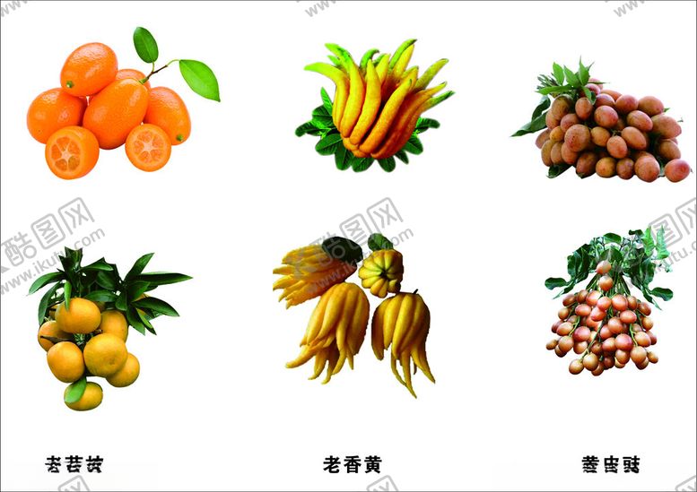 编号：89962702220350446896【酷图网】源文件下载-潮州三宝
