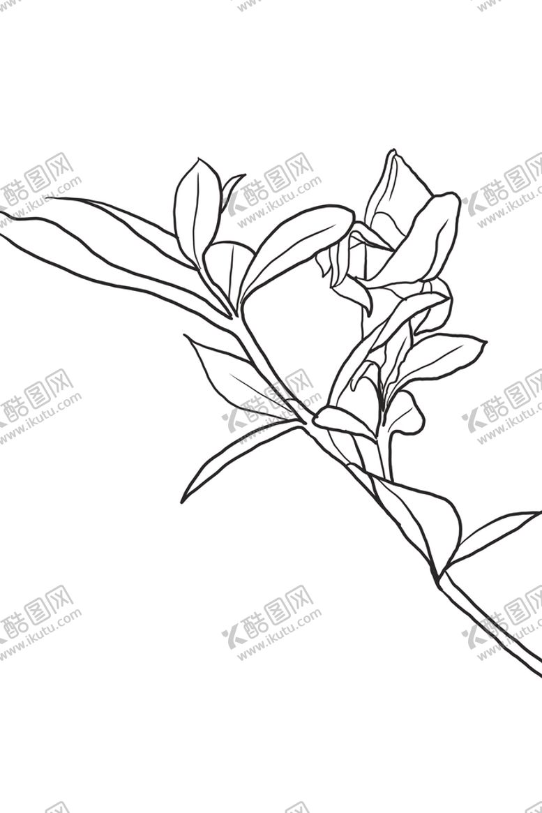 编号：56849310021123284753【酷图网】源文件下载-栀子花