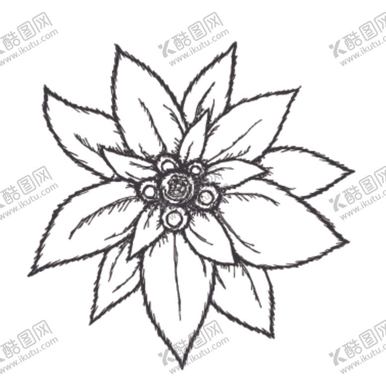编号：91388610272310428668【酷图网】源文件下载-简笔绘画植物花朵图谱