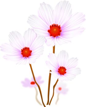 鲜花素材