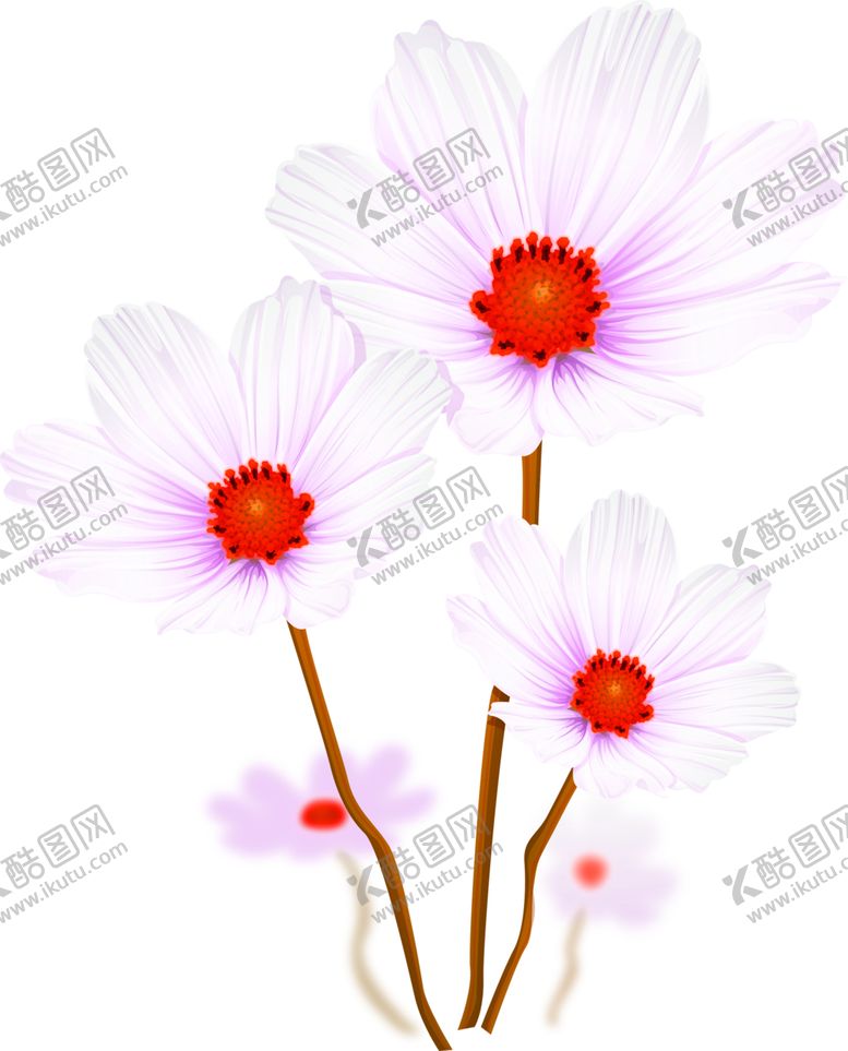 编号：20272405090612208323【酷图网】源文件下载-鲜花素材