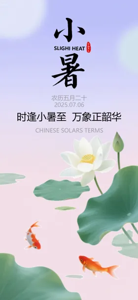 小暑节气荷花插画海报