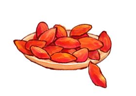 手绘枸杞