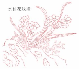 水仙花线描矢量图cdr格式