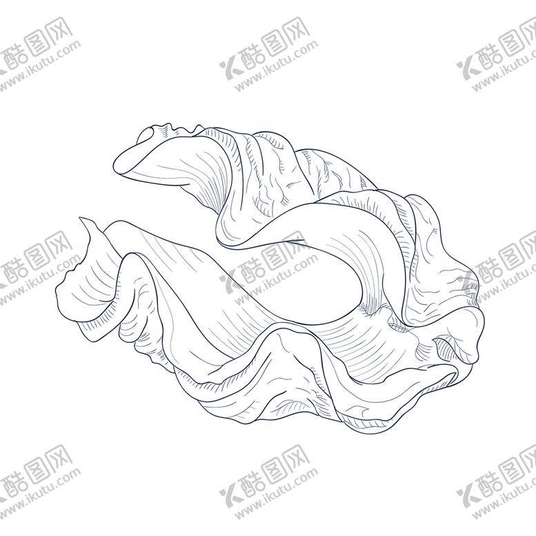 编号：18327909170142503859【酷图网】源文件下载-蚌