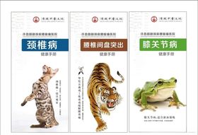 颈椎病腰椎间盘突出膝关节创意