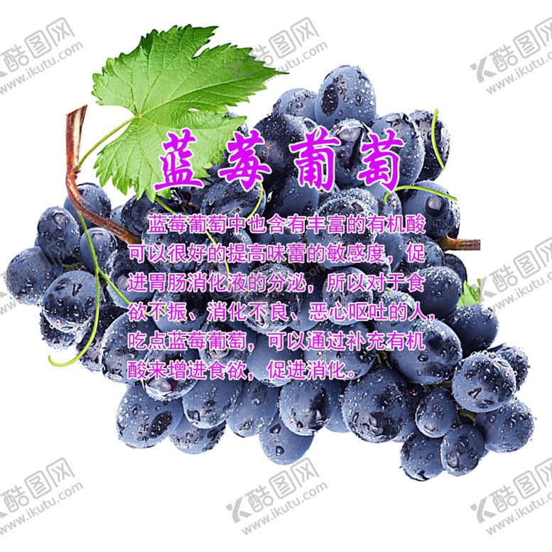 编号：17403401260530499984【酷图网】源文件下载-蓝莓葡萄的营养价值