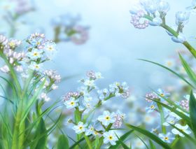野花野草背景图案