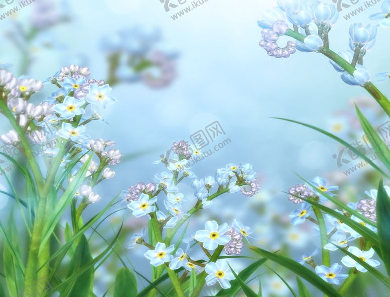 编号：56333305141456413182【酷图网】源文件下载-手绘油画野草野花小花