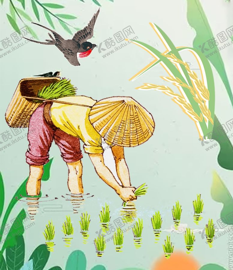 编号：37509001260603491485【酷图网】源文件下载-插秧