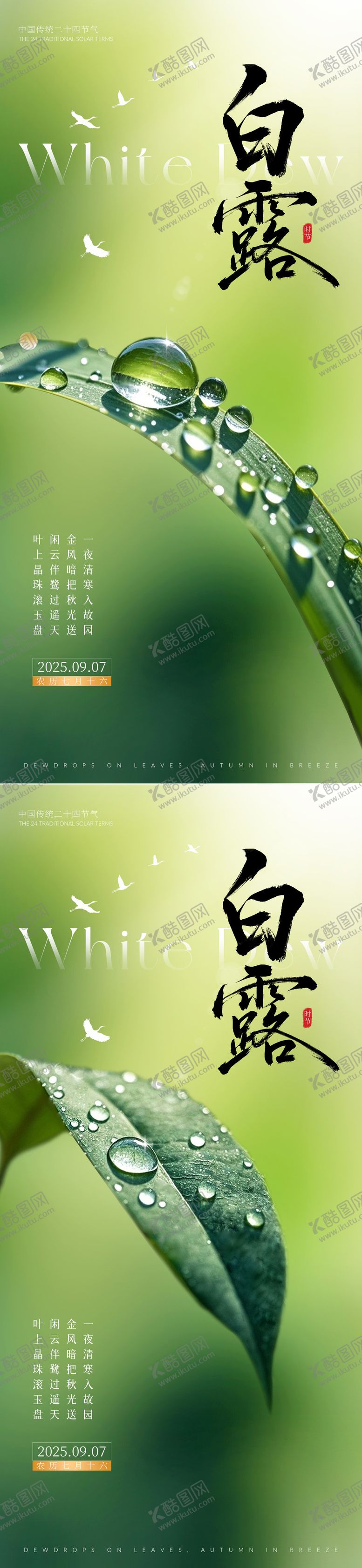编号：75168809061141348204【酷图网】源文件下载-白露节气海报