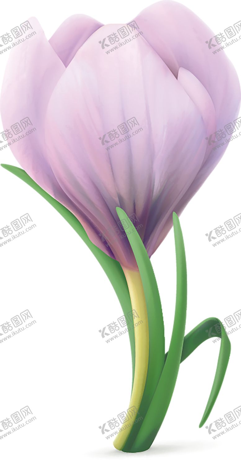 编号：26164006251517111320【酷图网】源文件下载-鲜花素材
