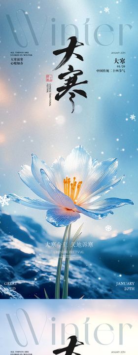 大寒节气花朵海报