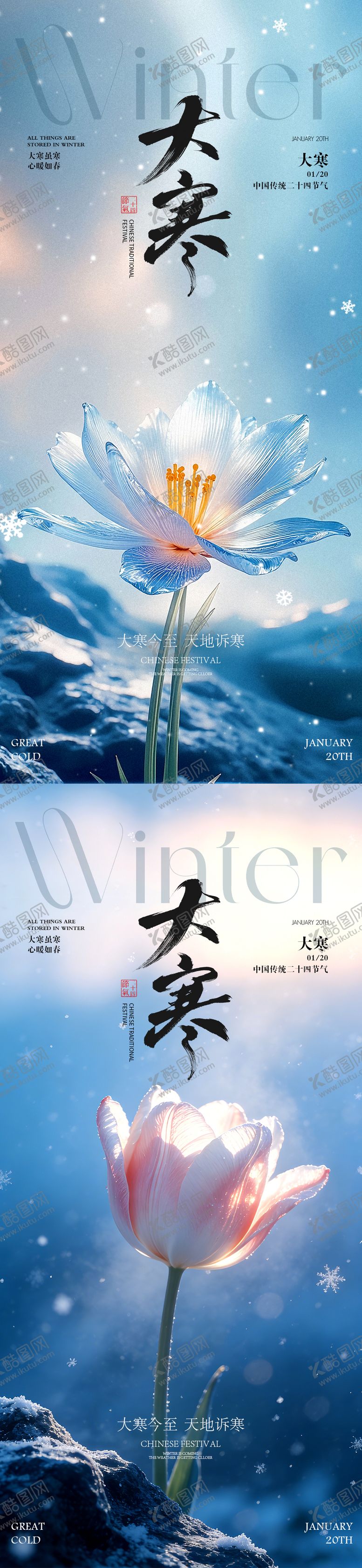 编号：27915901041158586185【酷图网】源文件下载-大寒节气花朵海报