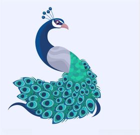 孔雀