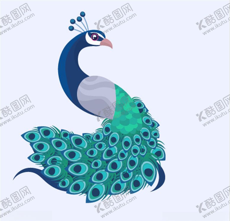 编号：69635005031652238586【酷图网】源文件下载-孔雀