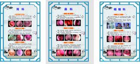 五官科详情耳鼻喉科