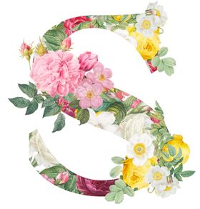 字母s设计创意