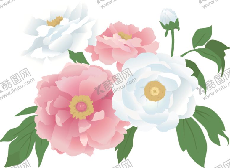 编号：13537503221737113042【酷图网】源文件下载-芍药