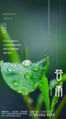 谷雨