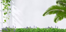  绿植背景