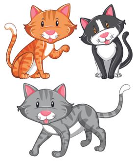 卡通猫