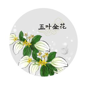 玉叶金花