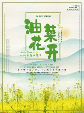 油菜花