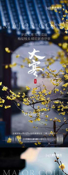 大寒节气节日海报雪梅花腊梅