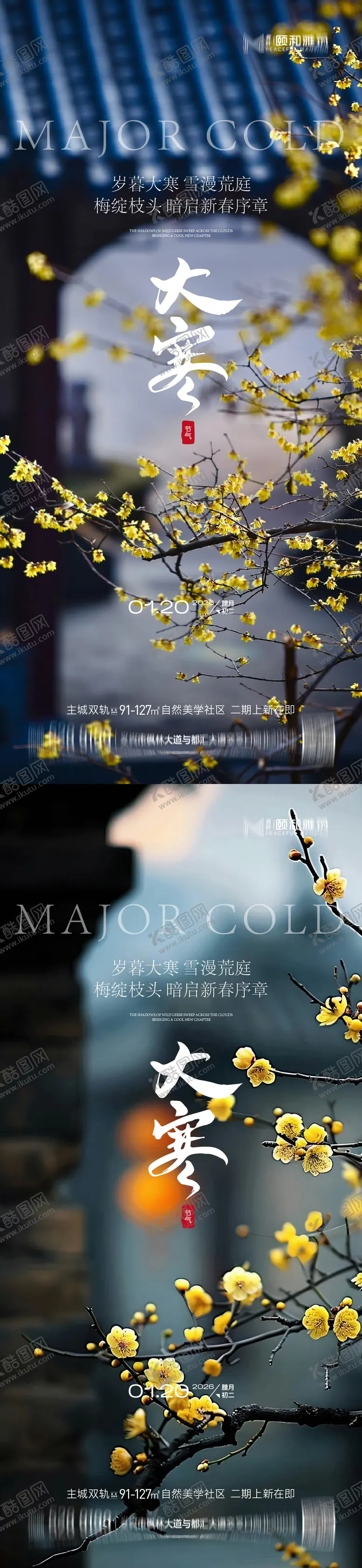 编号：45091601140203508890【酷图网】源文件下载-大寒节气节日海报雪梅花腊梅