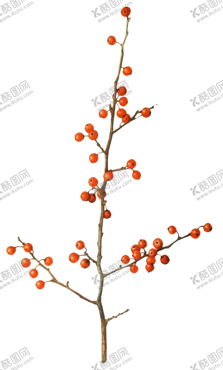 编号：45616112080902358722【酷图网】源文件下载-复古插画