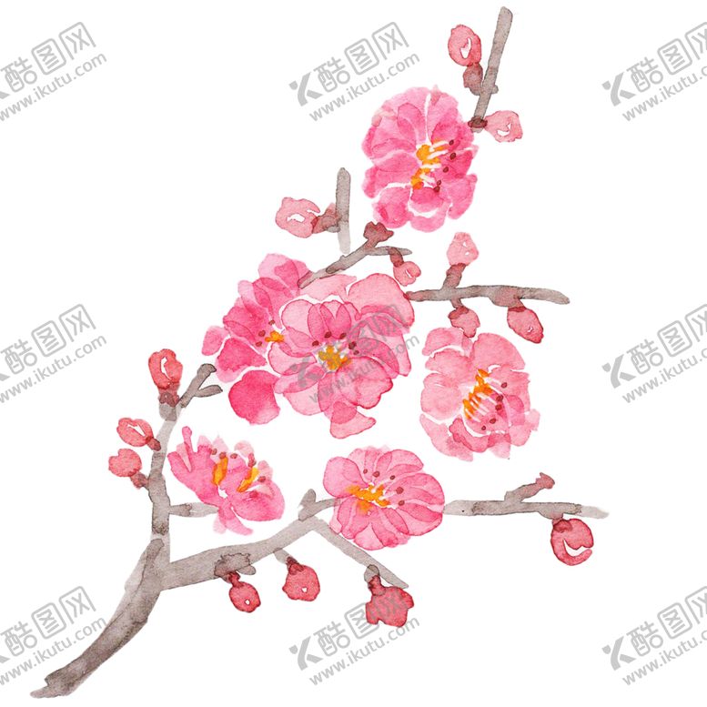 编号：18245002081817239146【酷图网】源文件下载-梅花桃花PNG